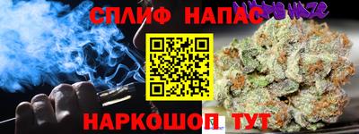 сатива Нальчик