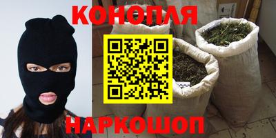 сатива Нальчик