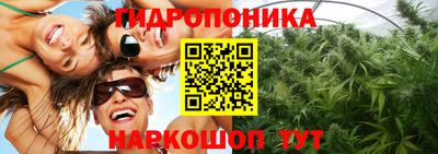 прущие грибы Нарткала
