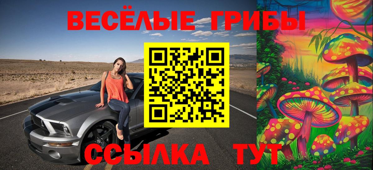 Галлюциногенные грибы Magic Shrooms Ступино