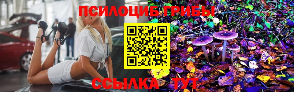 Псилоцибиновые грибы ЛСД  Галлюциногенные грибы Psilocybe  цена   Ступино  Вход с VPN 